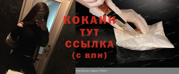 сатива Арсеньев