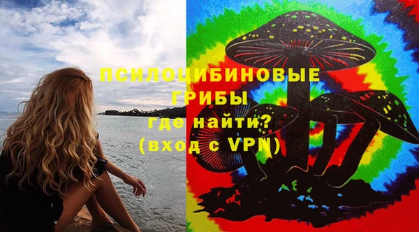 сатива Арсеньев