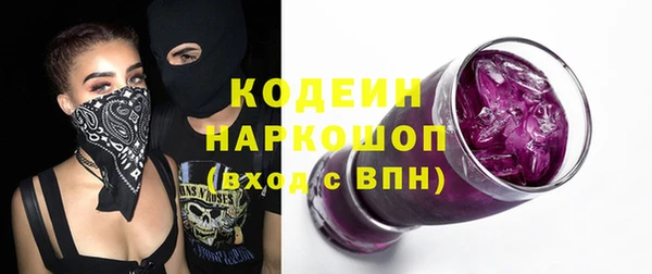 сатива Арсеньев