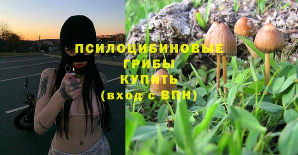 сатива Арсеньев