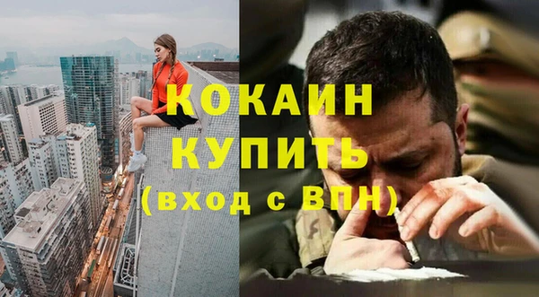 шишки Аркадак