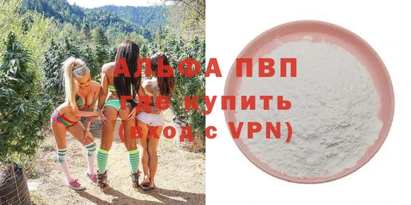 шишки Аркадак