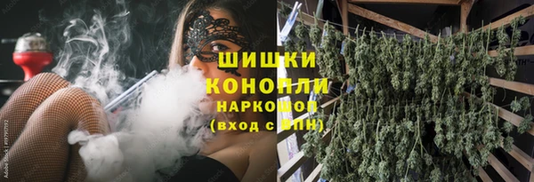 шишки Аркадак